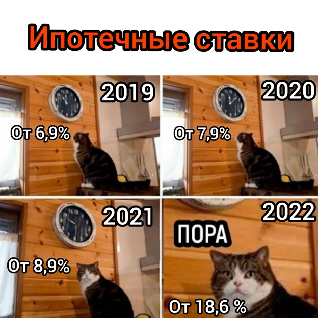 scale_1200.png scale_1200.png