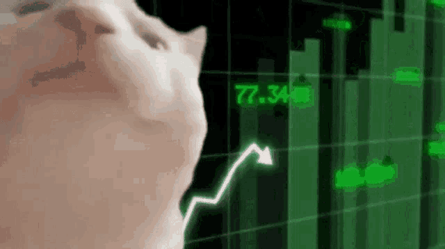 гифка 2.gif гифка 2.gif